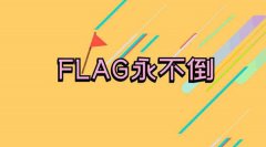 flagʲô˼?flagQĆ(Ԕ?sh)?